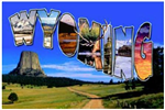 20515WY - wy-magnetic-potcards-wyoming-icons