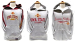 ISU-YGRY-M -IA State hoodie youth grey med