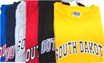 SDTEE-L - SD tee shirt asst colors large