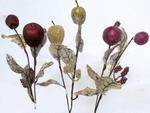 Chr Floral Branch Fabric Apples 24in Asst