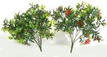 Chr Bush Poinsettia w/buds plastic 12inch