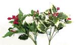 Chr Holly Bush 12in. Asst