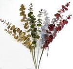 Chr Floral Eucalyptus stem 24inch Asst