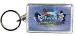 22112CO - CO Keychain elements lucite