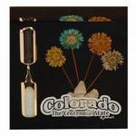 23824CO - CO paperweight/timer lucite