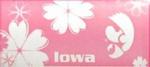 Yoga Mat Univ of Iowa