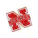 NE Husker ring stretch crystal logo