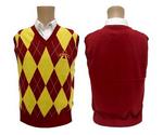 IA State sweater vest argyle large