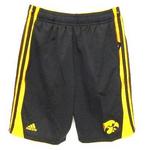 IA Hawkeye shorts 3 point 2T