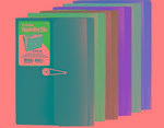 3177 522 - File expanding 13-pckt poly letter size