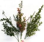 2741f - Floral Eucalyptus w/berries Plastic 32in.
