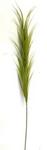 2742 - Grass Stem 24inch Plastic