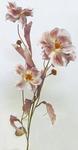 Lilly - Flower Stem Pink Silk 24inch