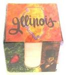 263IL - IL memo cube
