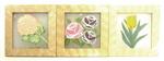 M201593 - Plaque flowers 5.5x5.5in asst