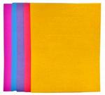 S70206 - Portfolio Folder 2 Pocket Asst