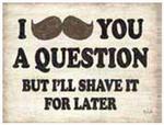 98553 - Sign I Mustache You A Question 10x13in