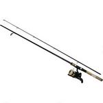 PA34-04A - Fishing pole diawa 6.5ft