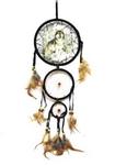 DC657 - Dreamcatcher wolves 6in