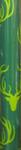 CH285669 - Chr Roll Wrap 50sq ft Antlers