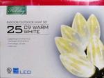 CH278486 - Chr Lights 25 C9 Warm White