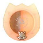 55390 - Jewelry Box Pink Plastic