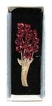 77012 - Lapel Pin Roses