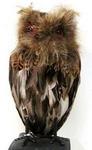 RA 820146 - Hal Feathered Owl