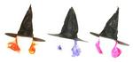 25/6358 - Hal witch hat w/hair asst