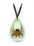 YD-0705 - Necklace SpinySpider Tear Drop Glow