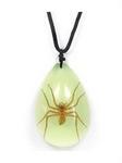 YD-0963 - Necklace Brn Recluse Spider
