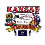 31390KS -KS Magnet State Map 2D