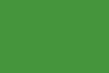 5017-25 - Posterboard green 22x28in