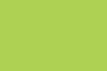 5029-25 - Posterboard green flourescent 22x28in
