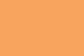 5032-25 - Posterboard orange flourescent 22x28in