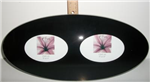 507668 - Frame Oval Glass 3.5x5" Black or White 5x14"