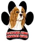 7829 - magnetic-paw-prints-cavalier-king-charles