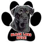 7832 - magnetic-paw-prints-lab-black