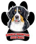 7835 - magnetic-paw-prints-bernese-mt-dog