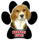 7836 - magnetic-paw-prints-beagle