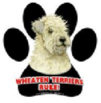 7847 - magnetic-paw-prints-wheaten-terrier