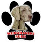 7849 - magnetic-paw-prints-weimaraner