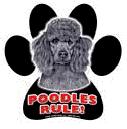 7858 - magnetic-paw-prints-poodle-bl