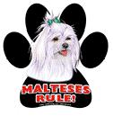 7862 - magnetic-paw-prints-maltese-show