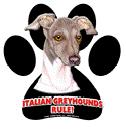 7864 - magnetic-paw-prints-greyhound-italian