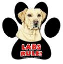 7865 - magnetic-paw-prints-lab-yellow