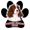 7889 - magnetic-paw-prints-springer-spaniel