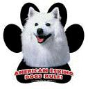 7921 - magnetic-paw-prints-american-eskimo-dog