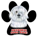 7926 - magnetic-paw-prints-havanese