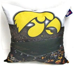 89764UIA - IA Hawkeye pillow real photo 18x18in